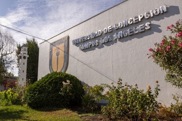 Mejores Universidades en los Ángeles Chile